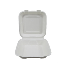 Disposable Bagasse 9x9x3 inch Food Container Box